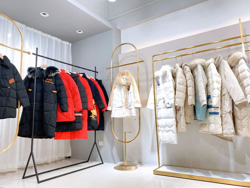 從供應(yīng)鏈視角剖析服裝行業(yè)去庫(kù)存困境 以羽絨服及女裝尾貨為例